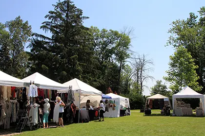 Campagne di piazza solidali